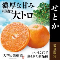 【天空の果樹園】そらせとか ( 3.5kg )【C45-74】