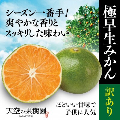 【 訳あり 】 天空 の 果樹園 から届く 極早生 みかん ( 10kg )【C45-70】