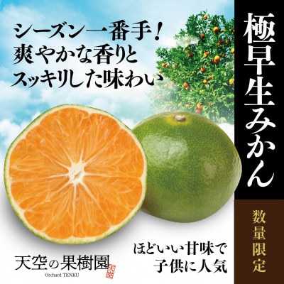 【 天空 の 果樹園 】 極早生 みかん 5kg 【C45-72】
