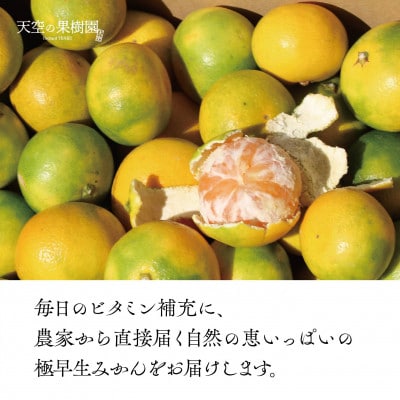 【 天空 の 果樹園 】 極早生 みかん 5kg 【C45-72】