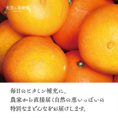 天空の果樹園から届く そらまどんな(3.5kg)【D45-32】