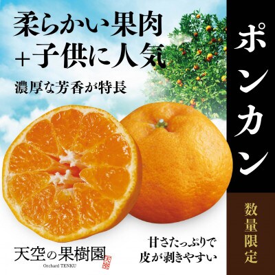 【 濃く 甘い 】 天空 の 果樹園 から届く そら ポンカン ( 3.5kg )【C45-67】