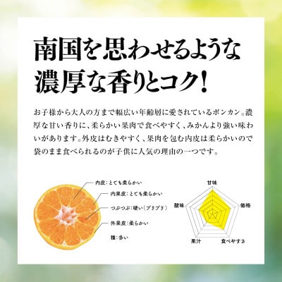 【 濃く 甘い 】 天空 の 果樹園 から届く そら ポンカン ( 3.5kg )【C45-67】