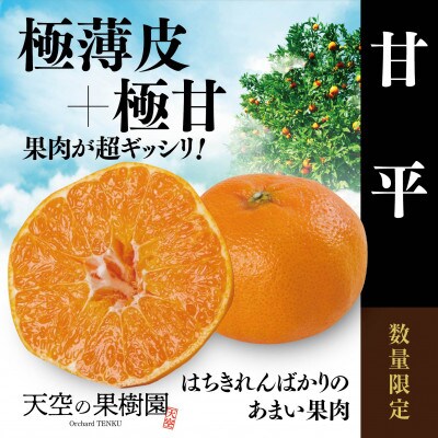 【極甘】天空の果樹園から届く そら甘平(3.5kg)【E45-69】
