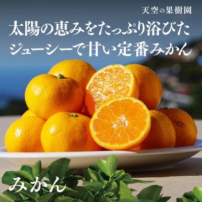 【天空の果樹園】そらみかん (5kg)【C45-68】