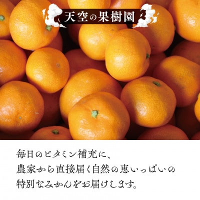 【天空の果樹園】そらみかん (5kg)【C45-68】