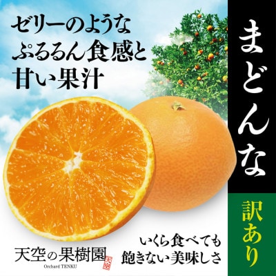 【訳あり】天空の果樹園から届く そらまどんな(5kg)【D45-33】