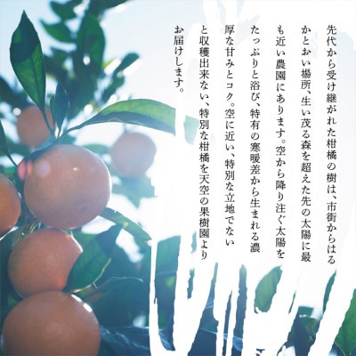 【訳あり】天空の果樹園から届く そらまどんな(5kg)【D45-33】