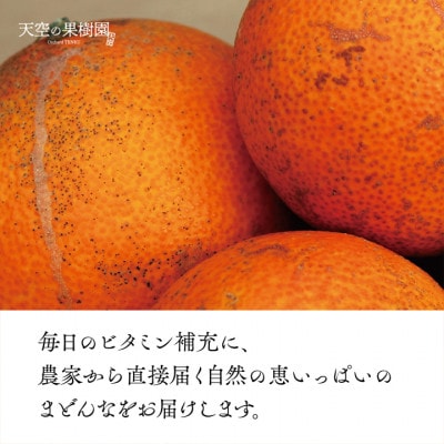 【訳あり】天空の果樹園から届く そらまどんな(5kg)【D45-33】