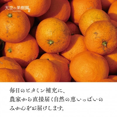 【 訳あり 】 天空 の 果樹園 から届く そら みかん ( 10kg )【C45-28】