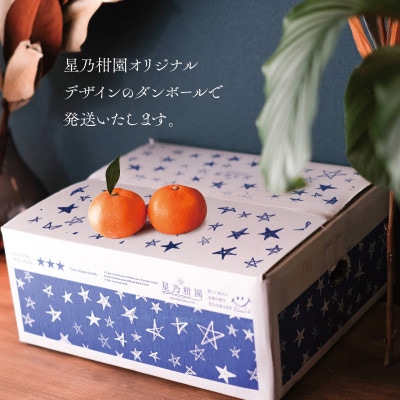 【訳あり】星乃みかん園の星乃 甘平(4kg)【D45-82】