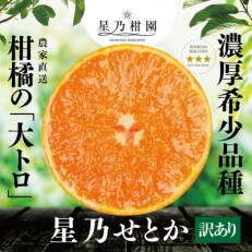 【訳あり】星乃みかん園の星乃 せとか(4kg)【C45-83】