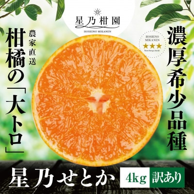 【訳あり】星乃みかん園の星乃せとか(4kg)【C45-83】