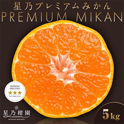 【三つ星ブランド】星乃みかんプレミアムシリーズ(5kg)【D45-84】
