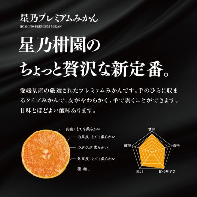 【三つ星ブランド】星乃みかんプレミアムシリーズ(5kg)【C45-84】