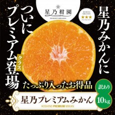 星乃みかん小玉プレミアムシリーズ(10kg)【訳あり】【C45-85】