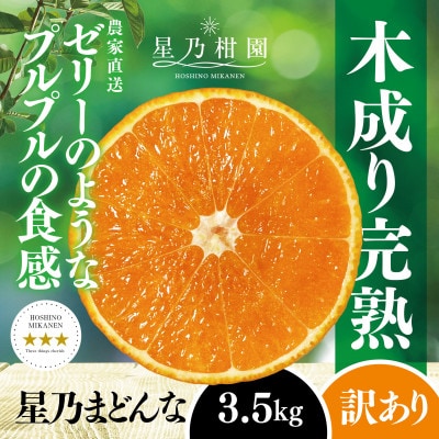 【三つ星ブランド】星乃まどんな(3.5kg)【訳あり】【C45-86】
