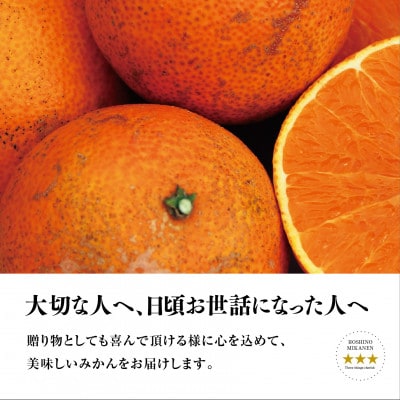【三つ星ブランド】星乃まどんな(3.5kg)【C45-86】