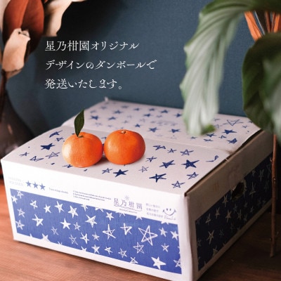 【三つ星ブランド】星乃まどんな(3.5kg)【C45-86】