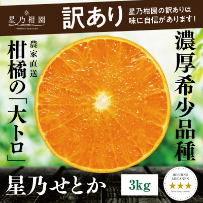 【訳あり】星乃せとか 柑橘の大トロ(3kg)【C45-87】