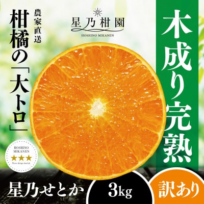 【訳あり】星乃せとか 柑橘の大トロ(3kg)【C45-87】