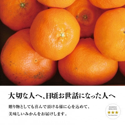 【訳あり】星乃みかん園の甘平(3kg)【C45-88】