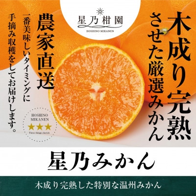 【三つ星ブランド】星乃みかん(4.5kg)【B45-90】