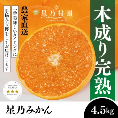 【三つ星ブランド】星乃みかん(4.5kg)【B45-90】