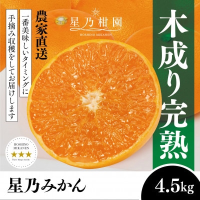 【三つ星ブランド】星乃みかん(4.5kg)【B45-90】