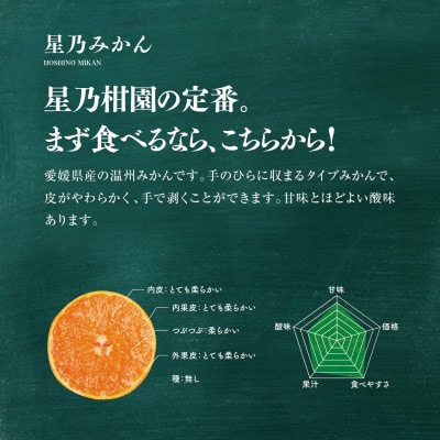 【三つ星ブランド】星乃みかん(4.5kg)【B45-90】