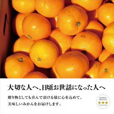 【三つ星ブランド】星乃みかん(4.5kg)【B45-90】