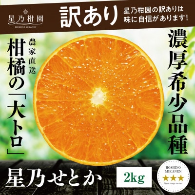 【訳あり】星乃せとか 柑橘の大トロ(2kg)【C45-92】