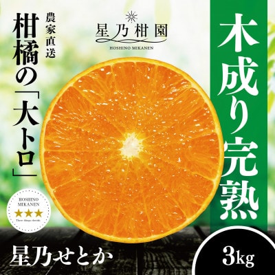 【三つ星ブランド】星乃せとか(3kg)【D45-93】