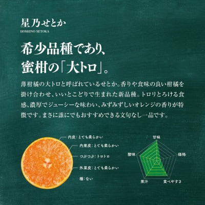 【三つ星ブランド】星乃せとか(3kg)【D45-93】