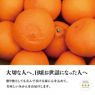 【三つ星ブランド】星乃せとか(3kg)【D45-93】