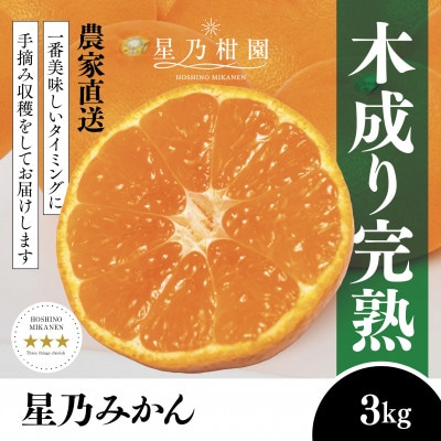 【三つ星ブランド】星乃みかん(3kg)【A45-96】