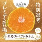 【三つ星ブランド】星乃みかんプレミアムシリーズ(3kg)【C45-94】