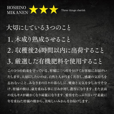 【三つ星ブランド】星乃みかんプレミアムシリーズ(3kg)【C45-94】