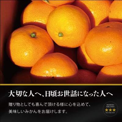 【三つ星ブランド】星乃みかんプレミアムシリーズ(3kg)【C45-94】