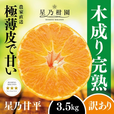 【訳あり】星乃みかん園の甘平(3.5kg)【D45-95】