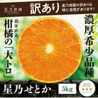 【訳あり】星乃せとか 柑橘の大トロ(5kg)【C45-97】