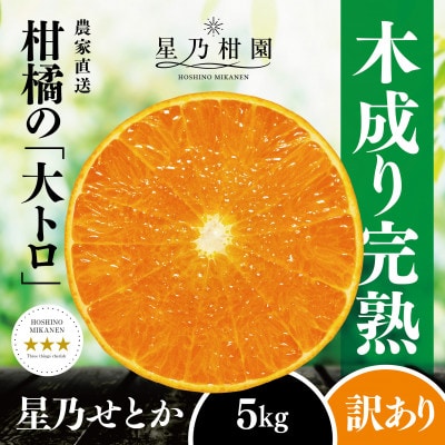【訳あり】星乃せとか 柑橘の大トロ(5kg)【C45-97】
