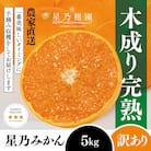 【訳あり】星乃みかん園の星乃みかん(5kg)【A45-98】