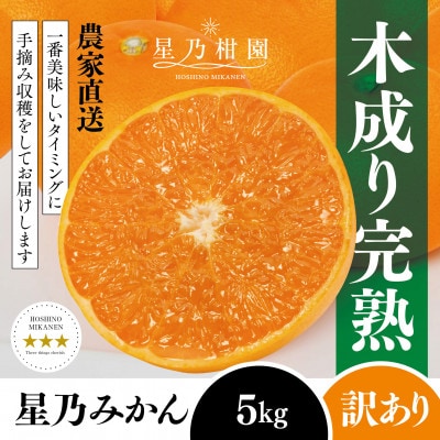 【訳あり】星乃みかん園の星乃みかん(5kg)【A45-98】