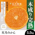【三つ星ブランド】星乃みかん(5.5kg)【C45-99】