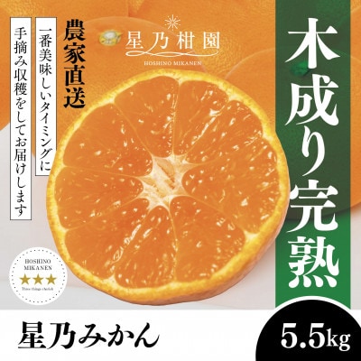 【三つ星ブランド】星乃みかん(5.5kg)【C45-99】