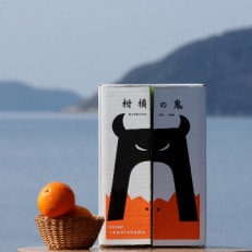 あまーい温州みかん(石地みかん)5kg[数量限定]【C56-8】 | ふるさと納税のお礼品