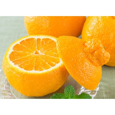 八幡浜産・不知火5kg[数量限定!]【C56-13】