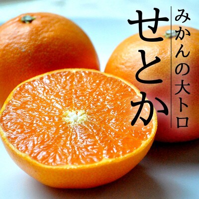 愛媛・八幡浜産「高級柑橘・せとか:5kg」【訳あり】【C48-33】