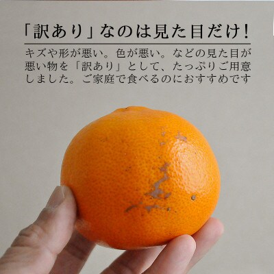 愛媛・八幡浜産「高級柑橘・せとか:5kg」【訳あり】【C48-33】